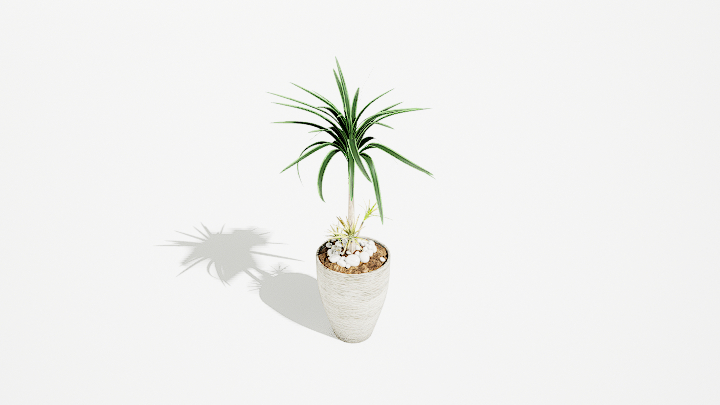 渲染模型_绿植盆栽440