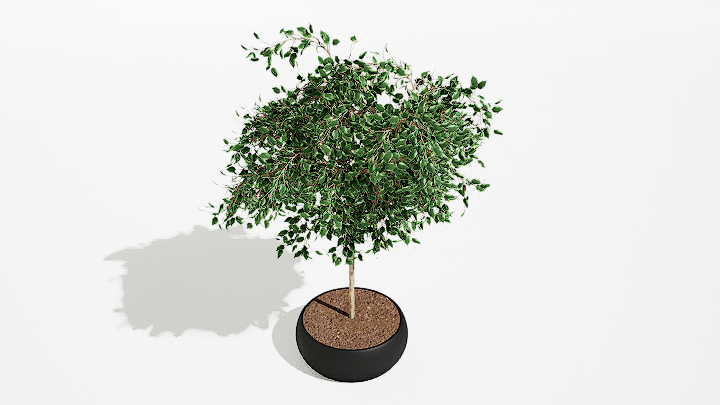 渲染模型_绿植盆栽459