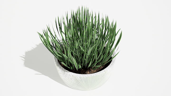 渲染模型_绿植盆栽468