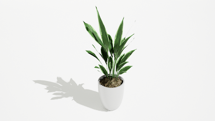 渲染模型_绿植盆栽474