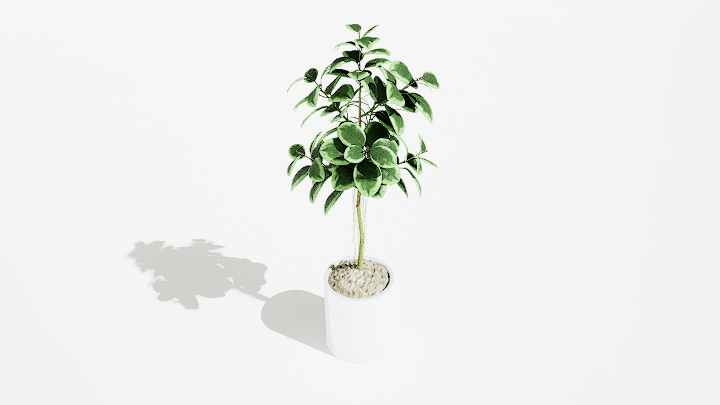 渲染模型_绿植盆栽481