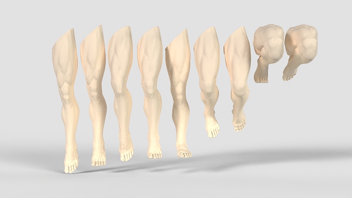 渲染模型_腿模001