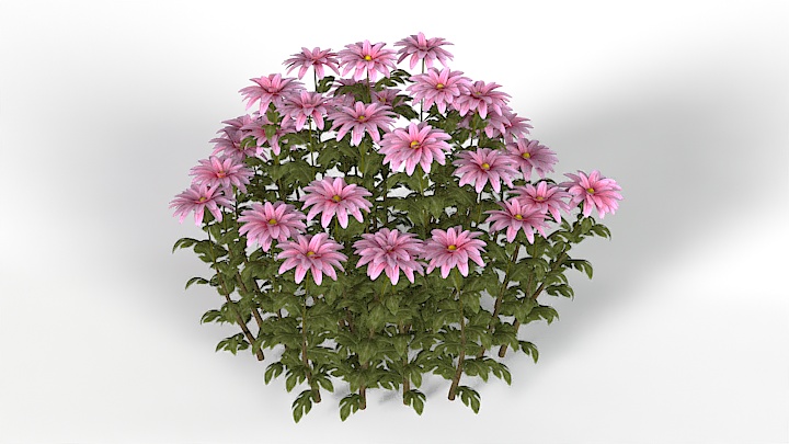 渲染模型_花卉001