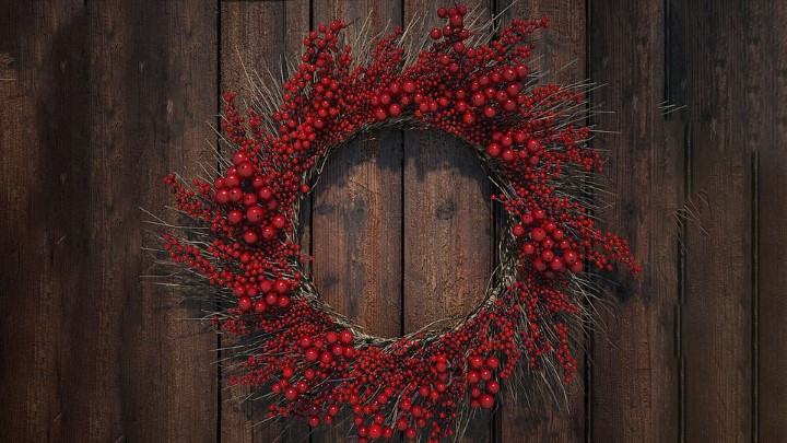 渲染模型_花楸树枝圣诞花环001