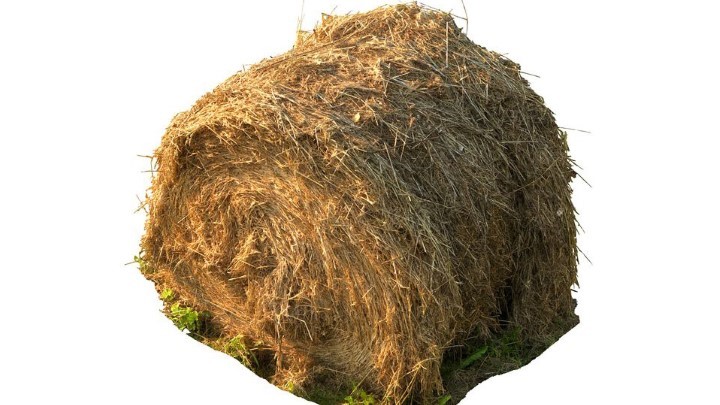 渲染模型_草垛003