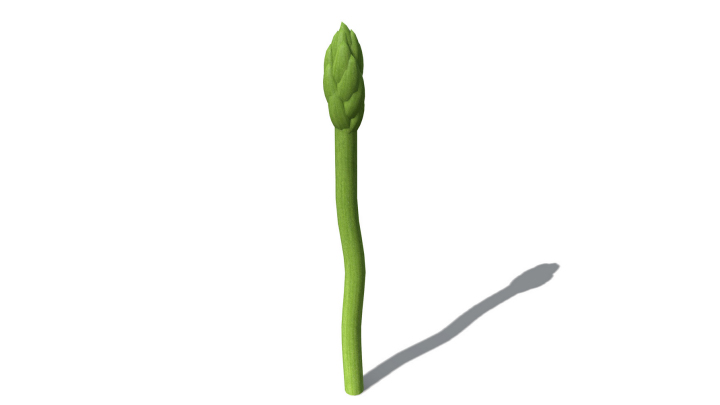 渲染模型_蔬菜030