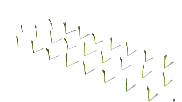 渲染模型_蔬菜032