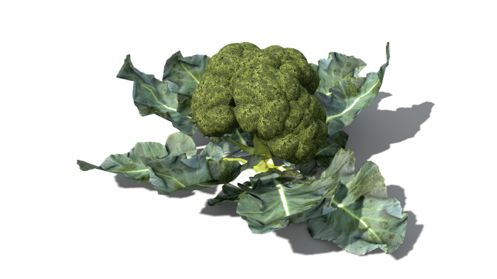 渲染模型_蔬菜040