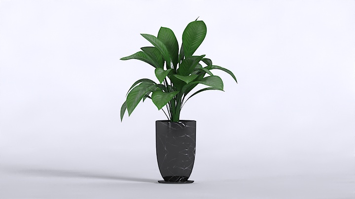 渲染模型_装饰植物009