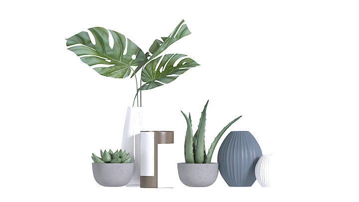 渲染模型_装饰植物018