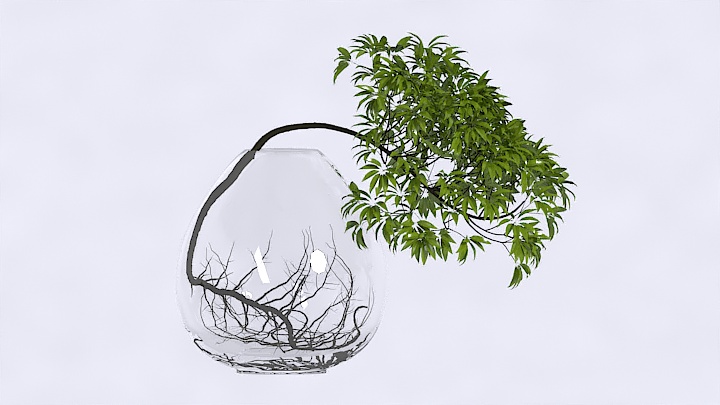 渲染模型_装饰植物019