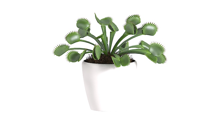 渲染模型_装饰植物030