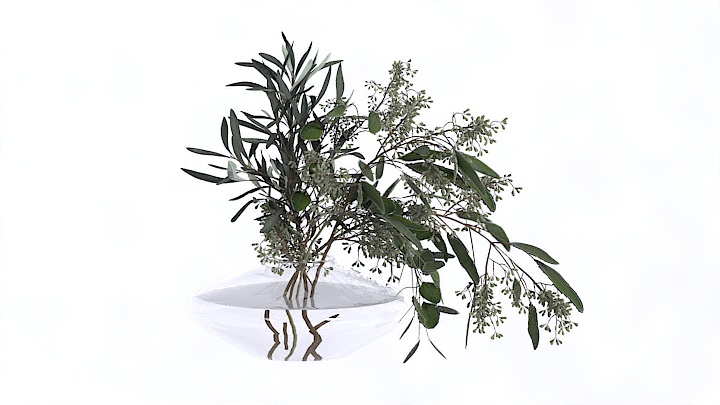 渲染模型_装饰植物044