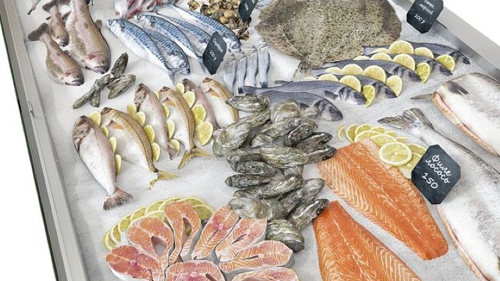 渲染模型_鱼肉冷冻台001