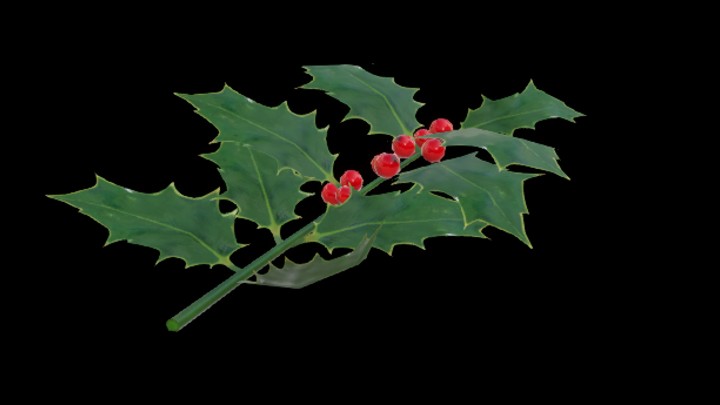 UE项目资源_模型资源_冬青树枝001