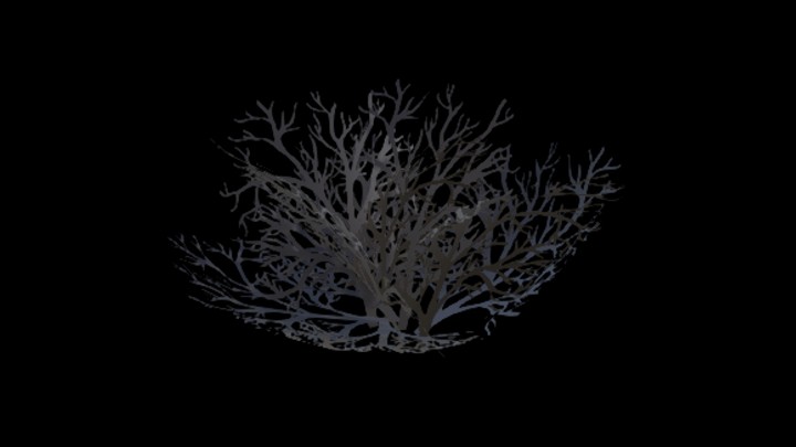 UE项目资源_模型资源_卡通_植物046