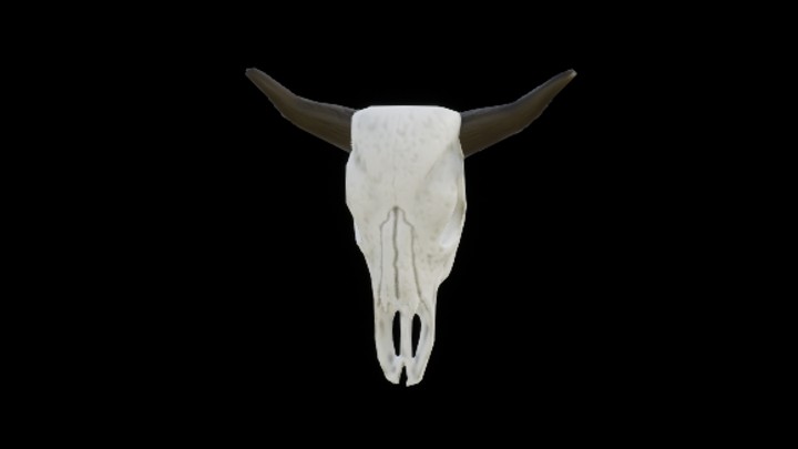 UE项目资源_模型资源_卡通_羊骷髅头001