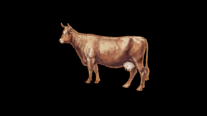 UE项目资源_模型资源_广告牌456