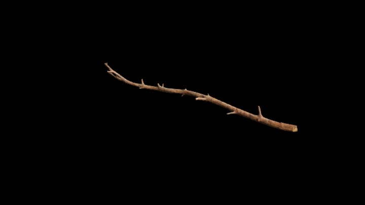 UE项目资源_模型资源_枯木032