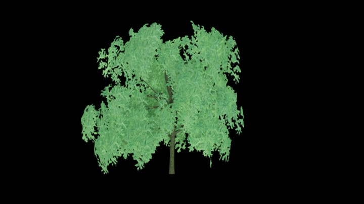 UE项目资源_模型资源_树1851