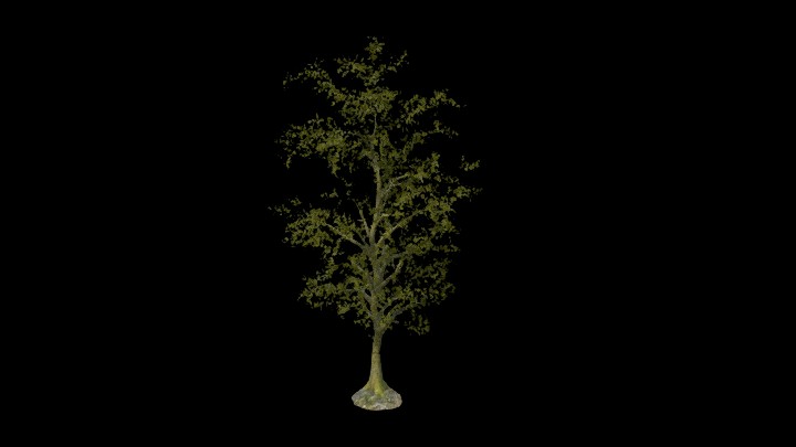 UE项目资源_模型资源_树1855