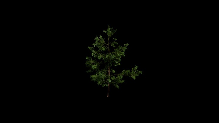 UE项目资源_模型资源_树1885