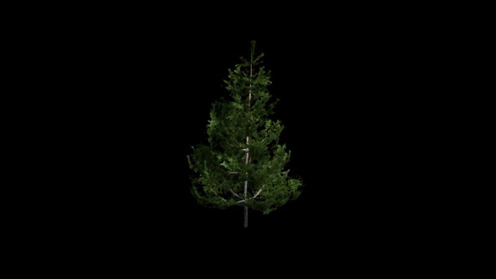 UE项目资源_模型资源_树1889