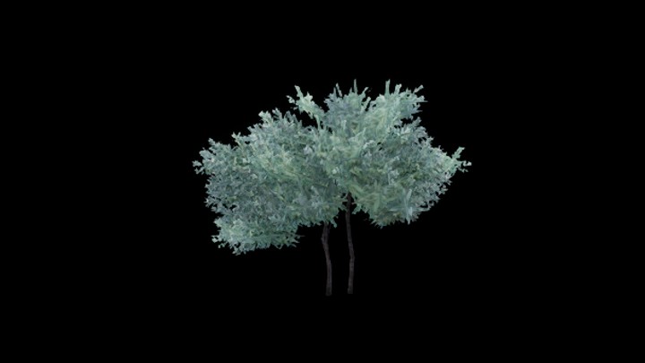 UE项目资源_模型资源_树1895