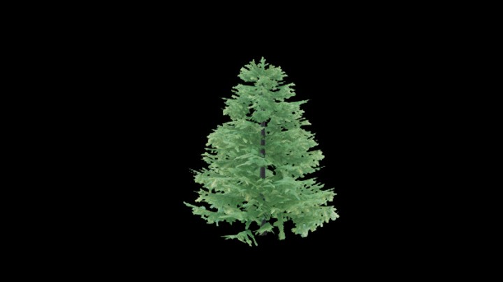 UE项目资源_模型资源_树1897