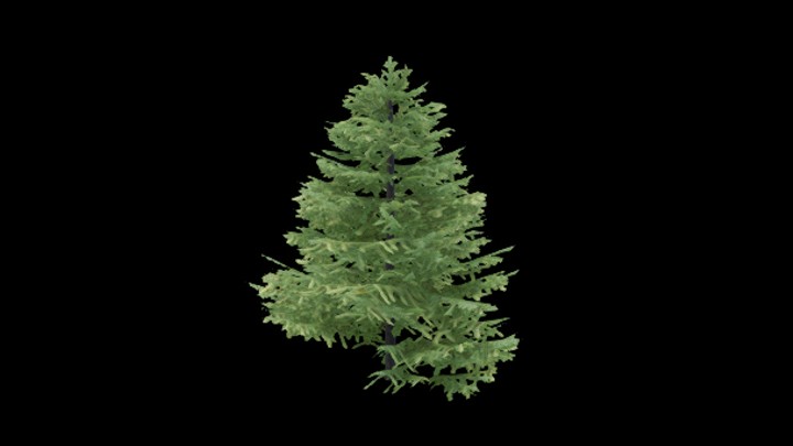 UE项目资源_模型资源_树1898