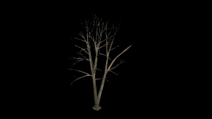 UE项目资源_模型资源_树1912