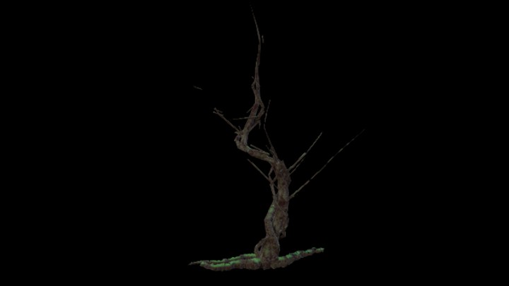 UE项目资源_模型资源_树1964