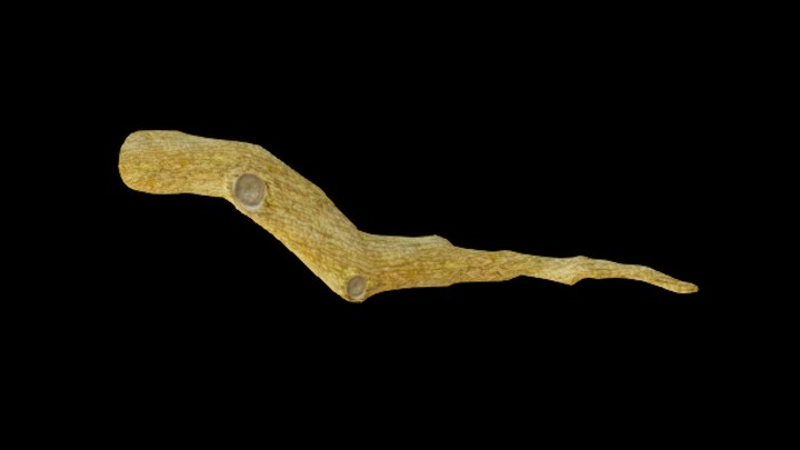 UE项目资源_模型资源_树干154