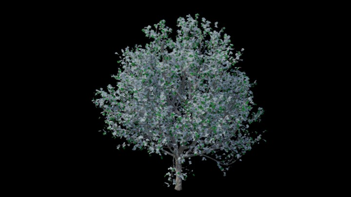 UE项目资源_模型资源_树木137