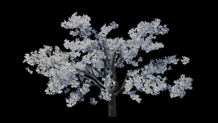 UE项目资源_模型资源_树木138