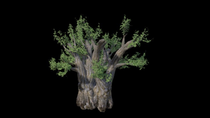 UE项目资源_模型资源_树木150