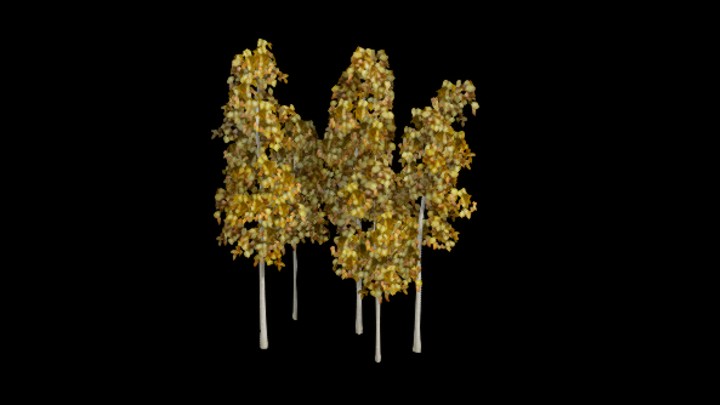 UE项目资源_模型资源_树木151