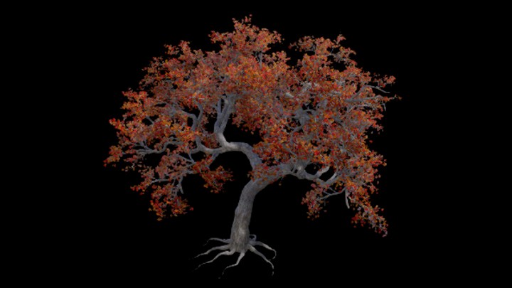 UE项目资源_模型资源_树木168