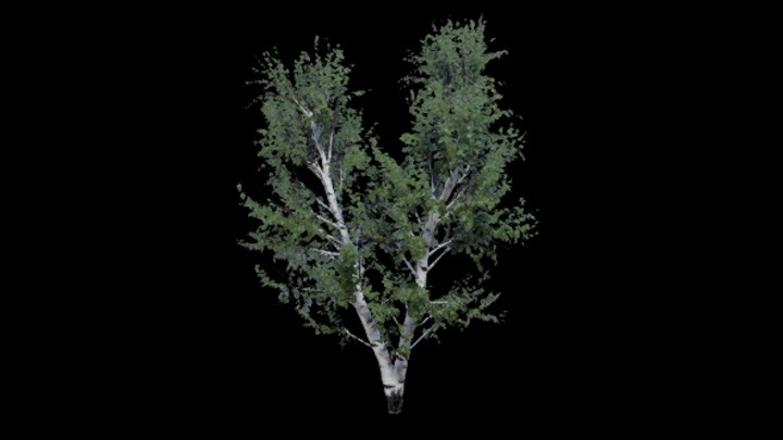 UE项目资源_模型资源_树木175