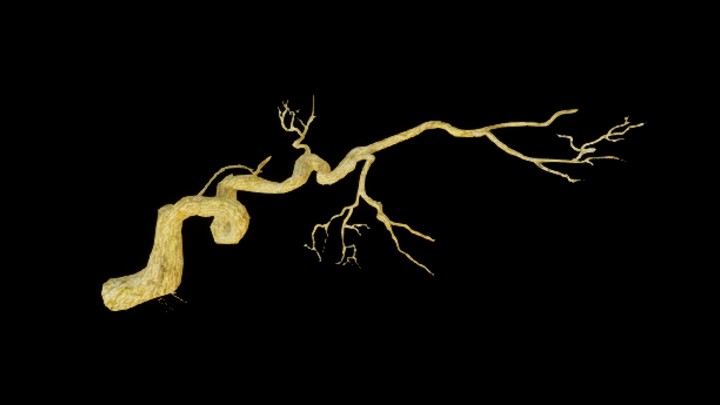 UE项目资源_模型资源_树枝230