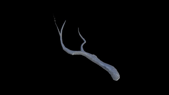 UE项目资源_模型资源_树枝243