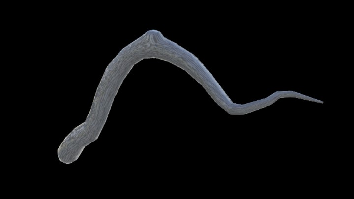 UE项目资源_模型资源_树枝244