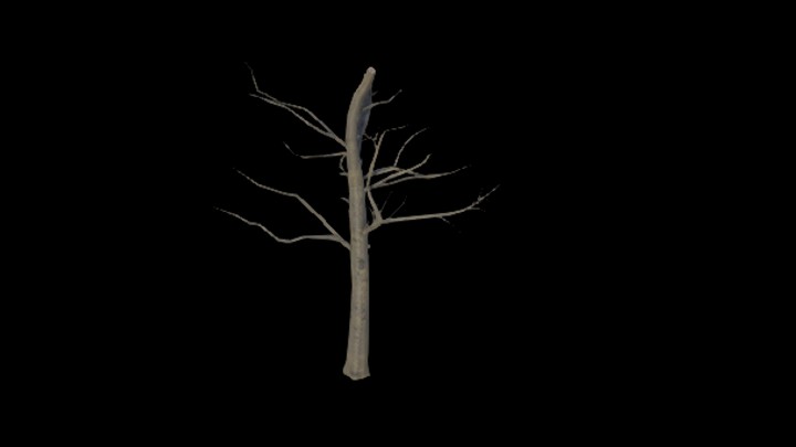 UE项目资源_模型资源_树枝261