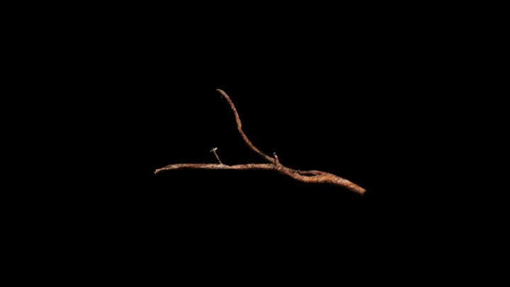 UE项目资源_模型资源_树枝280