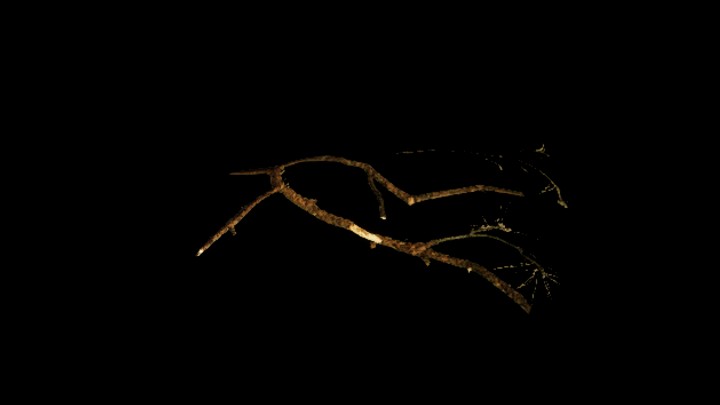 UE项目资源_模型资源_树枝286