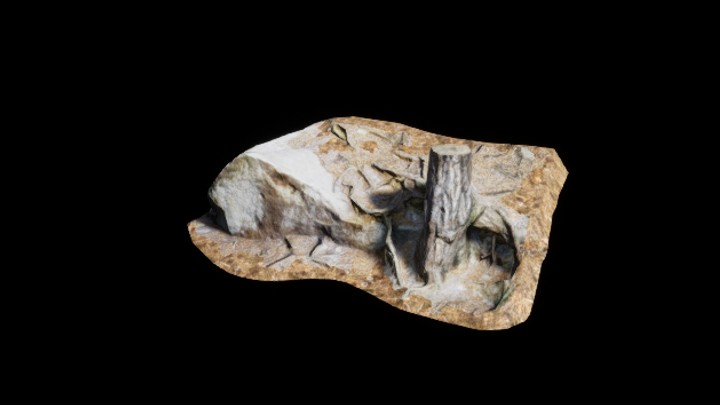 UE项目资源_模型资源_树根062