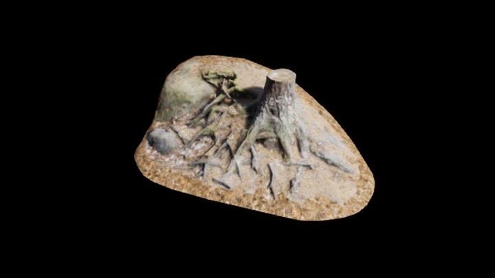 UE项目资源_模型资源_树根065