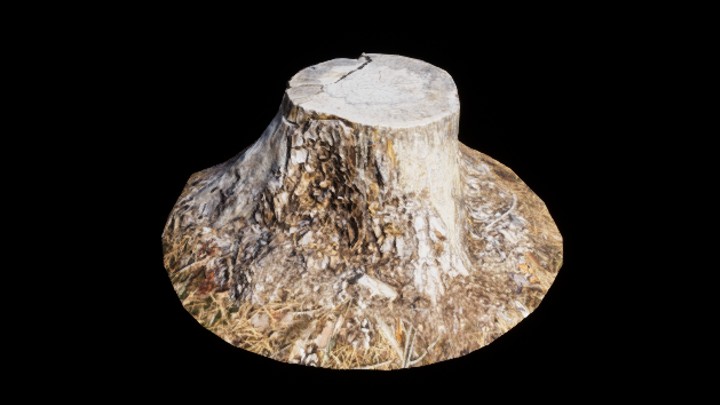 UE项目资源_模型资源_树桩134