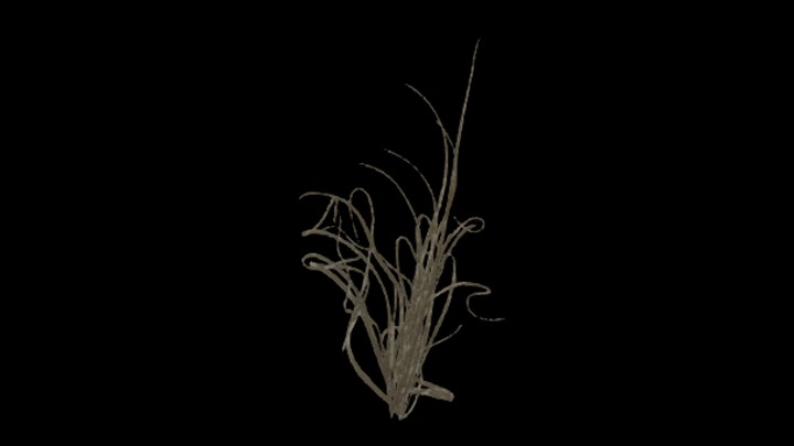 UE项目资源_模型资源_植物1912