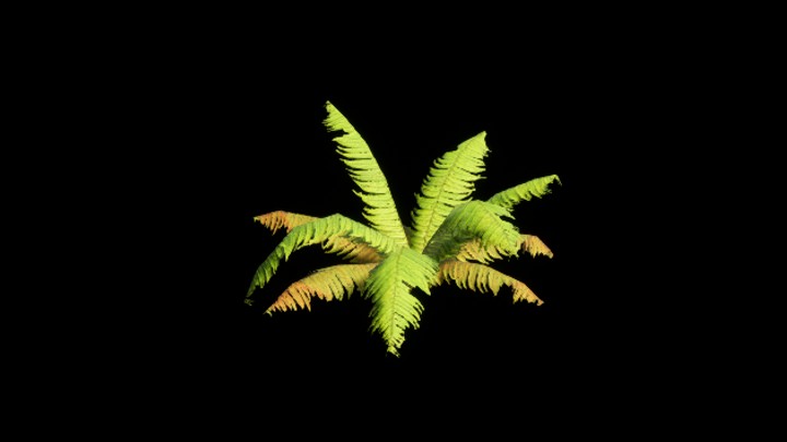 UE项目资源_模型资源_植物1926